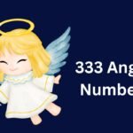 333 Angel Number
